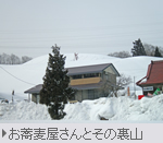 お蕎麦屋さんとその裏山