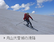 ブナの森 ブナの森