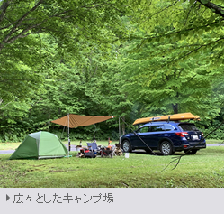 初夏の渓流