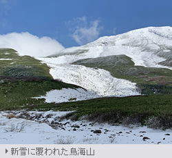 新雪に覆われた鳥海山