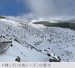 残っていた先シーズンの雪渓