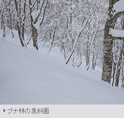 残っていた先シーズンの雪渓