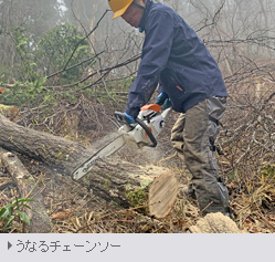 新雪に覆われた鳥海山