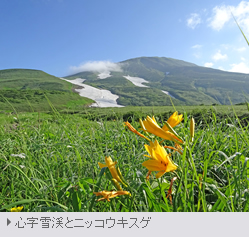 新雪に覆われた鳥海山