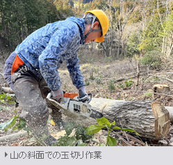 キャンプ道具一式を背負って