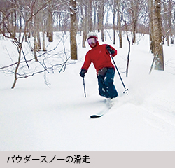 パウダースノーの滑走