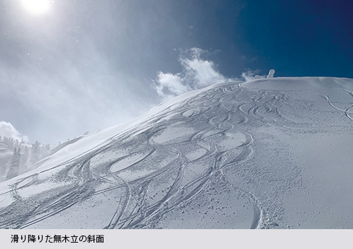 滑り降りた無木立の斜面