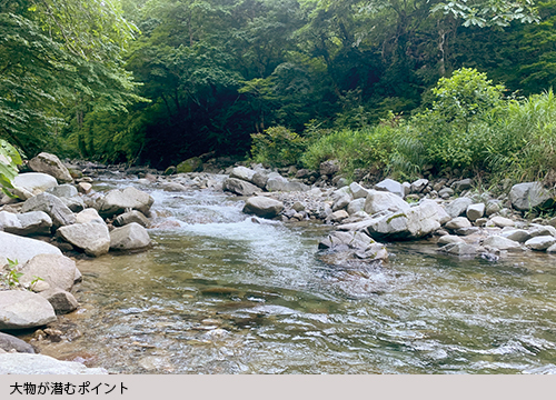 大物が潜むポイント
