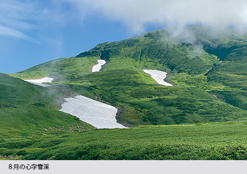 ８月の心字雪渓