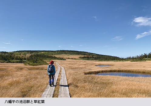 八幡平の池沼群と草紅葉