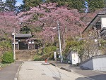 大年寺の山門