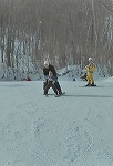 孫とスキー
